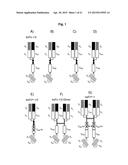 BISPECIFIC ANTIBODY MOLECULE diagram and image