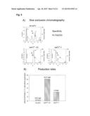 BISPECIFIC ANTIBODY MOLECULE diagram and image