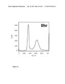 NANOPARTICLES WITH ATTACHED DNA REPAIR INHIBITORS AND NUCLEAR LOCALISATION     SIGNAL ELEMENTS diagram and image