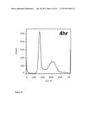 NANOPARTICLES WITH ATTACHED DNA REPAIR INHIBITORS AND NUCLEAR LOCALISATION     SIGNAL ELEMENTS diagram and image