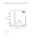 NANOPARTICLES WITH ATTACHED DNA REPAIR INHIBITORS AND NUCLEAR LOCALISATION     SIGNAL ELEMENTS diagram and image