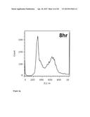 NANOPARTICLES WITH ATTACHED DNA REPAIR INHIBITORS AND NUCLEAR LOCALISATION     SIGNAL ELEMENTS diagram and image