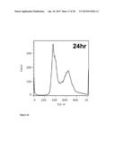 NANOPARTICLES WITH ATTACHED DNA REPAIR INHIBITORS AND NUCLEAR LOCALISATION     SIGNAL ELEMENTS diagram and image