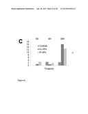 NANOPARTICLES WITH ATTACHED DNA REPAIR INHIBITORS AND NUCLEAR LOCALISATION     SIGNAL ELEMENTS diagram and image