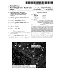 IMAGE PROCESSING APPARATUS, MICROSCOPE SYSTEM, ENDOSCOPE SYSTEM, AND IMAGE     PROCESSING METHOD diagram and image