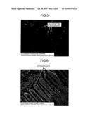 IMAGE PROCESSING APPARATUS, MICROSCOPE SYSTEM, ENDOSCOPE SYSTEM, AND IMAGE     PROCESSING METHOD diagram and image