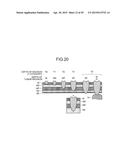 IMAGE PROCESSING APPARATUS, MICROSCOPE SYSTEM, ENDOSCOPE SYSTEM, AND IMAGE     PROCESSING METHOD diagram and image