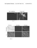 LIGHT DEGRADABLE DRUG DELIVERY SYSTEM FOR OCULAR THERAPY diagram and image