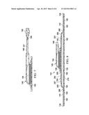 DRESSING WITH DIFFERENTIALLY SIZED PERFORATIONS diagram and image