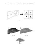 DETERMINING PERFORMANCE DATA FOR HYDROCARBON RESERVOIRS USING DIFFUSIVE     TIME OF FLIGHT AS THE SPATIAL COORDINATE diagram and image