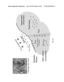 DETERMINING PERFORMANCE DATA FOR HYDROCARBON RESERVOIRS USING DIFFUSIVE     TIME OF FLIGHT AS THE SPATIAL COORDINATE diagram and image