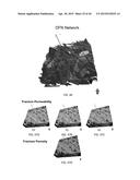 DETERMINING PERFORMANCE DATA FOR HYDROCARBON RESERVOIRS USING DIFFUSIVE     TIME OF FLIGHT AS THE SPATIAL COORDINATE diagram and image