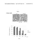 GENES RELATED TO SALT OR DROUGHT STRESS RESISTANCES AND TRANSFORMED PLANTS     WITH THE SAME diagram and image