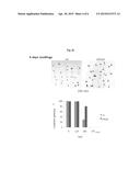 GENES RELATED TO SALT OR DROUGHT STRESS RESISTANCES AND TRANSFORMED PLANTS     WITH THE SAME diagram and image