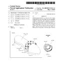 SHOE PRODUCT WITH REMOVABLE CUFF diagram and image