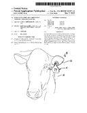 INSECTICIDE STRIP AND COMBINATION WITH IDENTIFICATION EAR TAG diagram and image