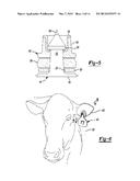 INSECTICIDE STRIP AND COMBINATION WITH IDENTIFICATION EAR TAG diagram and image