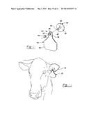 INSECTICIDE STRIP AND COMBINATION WITH IDENTIFICATION EAR TAG diagram and image