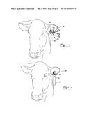 INSECTICIDE STRIP AND COMBINATION WITH IDENTIFICATION EAR TAG diagram and image