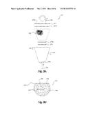 WATER FILTRATION APPARATUS WITH COMPOSTABLE FILTER diagram and image