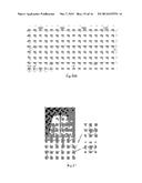 ADAPTIVE ELECTROTHERMAL SYSTEM AND ELECTROTHERMAL APPAREL diagram and image