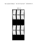 THIN FILM TRANSISTOR ARRAY PANEL AND MANUFACTURING METHOD THEREOF diagram and image