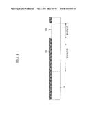 ORGANIC LIGHT EMITTING DIODE DISPLAY diagram and image