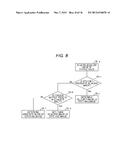 INFORMATION PROCESSING APPARATUS, INFORMATION PROCESSING METHOD, PROGRAM,     AND MICROSCOPE SYSTEM diagram and image