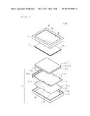 Light Source Device and Display Device diagram and image