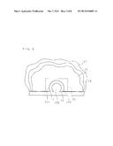 Light Source Device and Display Device diagram and image