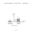 METHOD AND APPARATUS FOR DIRECTLY DETECTED OPTICAL TRANSMISSION SYSTEMS     BASED ON CARRIERLESS AMPLITUDE-PHASE MODILATION diagram and image