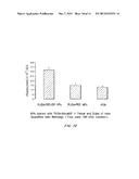 BONE AND METAL TARGETED POLYMERIC NANOPARTICLES diagram and image