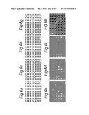 BACTERIOPHAGE FOR BIOCONTROL OF SALMONELLA AND IN THE MANUFACTURING OR     PROCESSING OF FOODS diagram and image