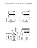 COMPOSITIONS AND METHODS FOR INDUCING THROMBOPOIESIS diagram and image