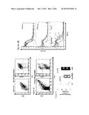 COMPOSITIONS AND METHODS FOR INDUCING THROMBOPOIESIS diagram and image