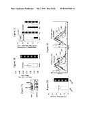 COMPOSITIONS AND METHODS FOR INDUCING THROMBOPOIESIS diagram and image