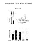 METHODS FOR TREATING MUSCLE SPECIFIC RECEPTOR KINASE MYASTHENIA GRAVIS diagram and image