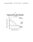 BISPECIFIC ANTIBODIES THAT NEUTRALIZE BOTH TNF-ALPHA AND IL-6:  NOVEL     THERAPEUTIC AGENT FOR AUTOIMMUNE DISEASE diagram and image