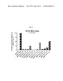 BISPECIFIC ANTIBODIES THAT NEUTRALIZE BOTH TNF-ALPHA AND IL-6:  NOVEL     THERAPEUTIC AGENT FOR AUTOIMMUNE DISEASE diagram and image