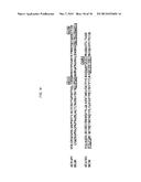 BISPECIFIC ANTIBODIES THAT NEUTRALIZE BOTH TNF-ALPHA AND IL-6:  NOVEL     THERAPEUTIC AGENT FOR AUTOIMMUNE DISEASE diagram and image