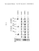 BISPECIFIC ANTIBODIES THAT NEUTRALIZE BOTH TNF-ALPHA AND IL-6:  NOVEL     THERAPEUTIC AGENT FOR AUTOIMMUNE DISEASE diagram and image