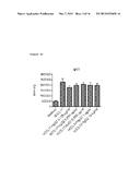 Anti-CCL17 Antibodies diagram and image