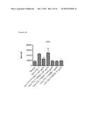 Anti-CCL17 Antibodies diagram and image