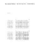 Anti-CCL17 Antibodies diagram and image