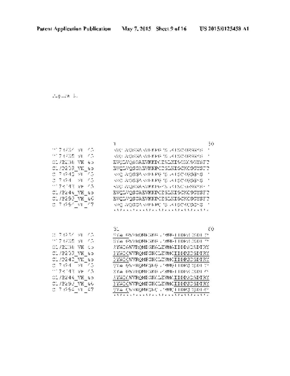 Anti-CCL17 Antibodies - diagram, schematic, and image 10