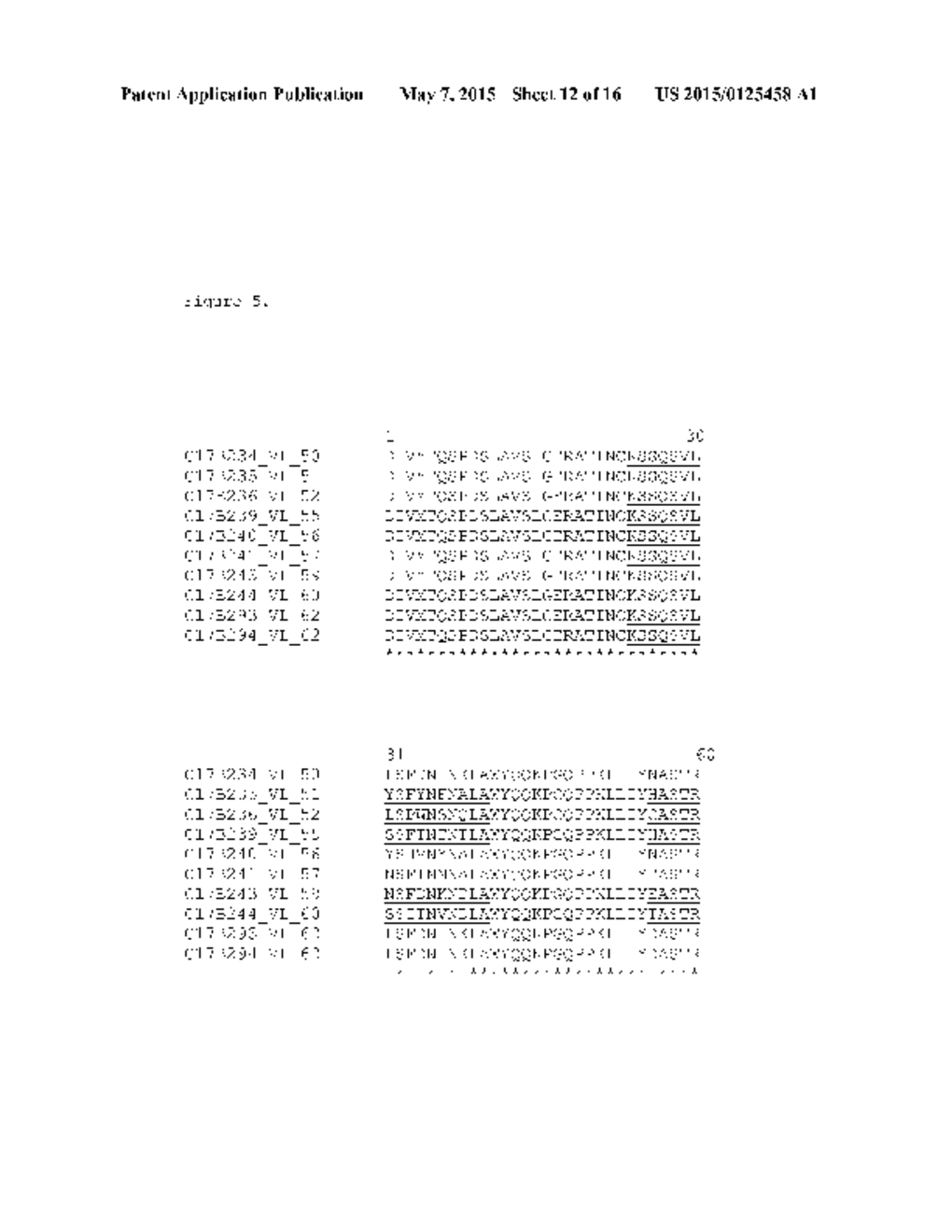 Anti-CCL17 Antibodies - diagram, schematic, and image 13