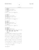 Anti-CCL17 Antibodies diagram and image