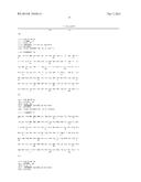 Anti-CCL17 Antibodies diagram and image