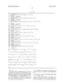 Anti-CCL17 Antibodies diagram and image