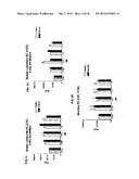 APELIN PEPTIDES, ANTIBODIES THERETO, AND METHODS OF USE diagram and image